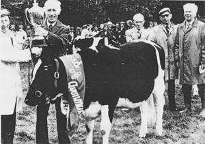 MAID OF AVONMORE