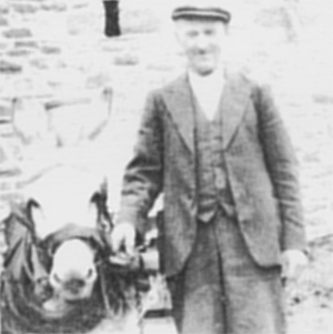 WILLIE HENNEBRY